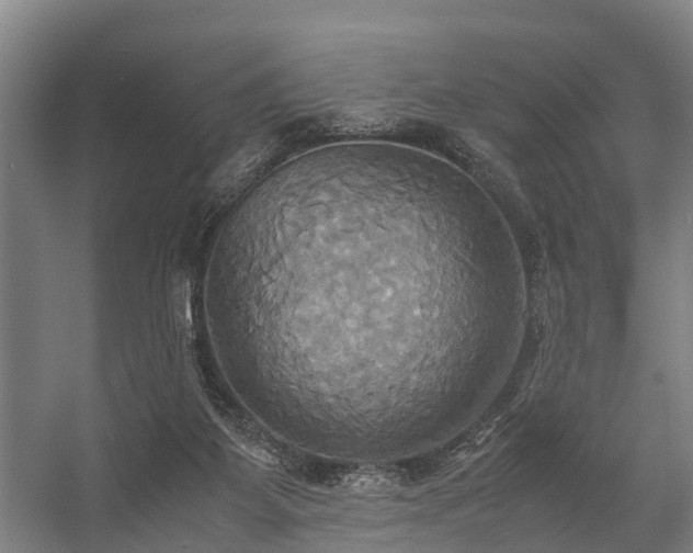 X0000057040115200509120830