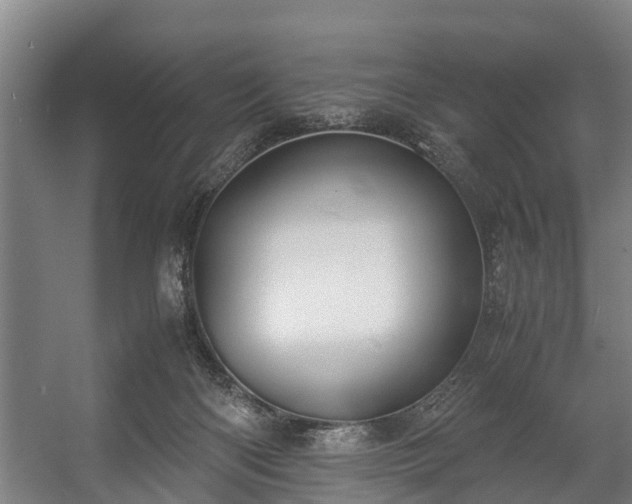 X0000057040122200509120830
