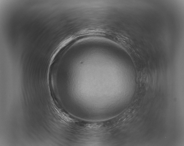X0000057040148200509120829