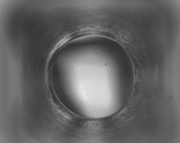 X0000057040150200509120829