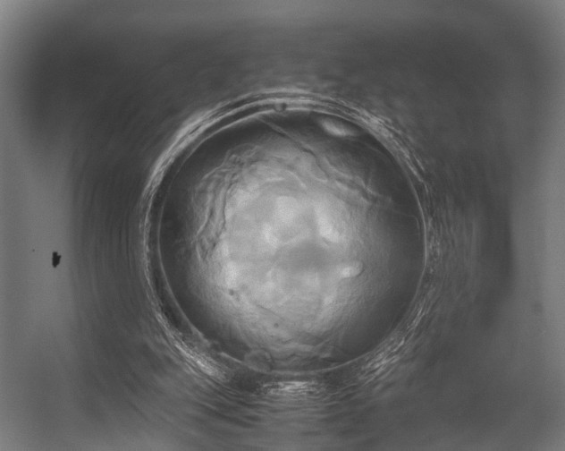 X0000057040151200509120829