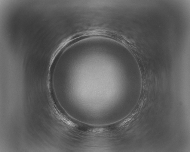 X0000057040152200509120829