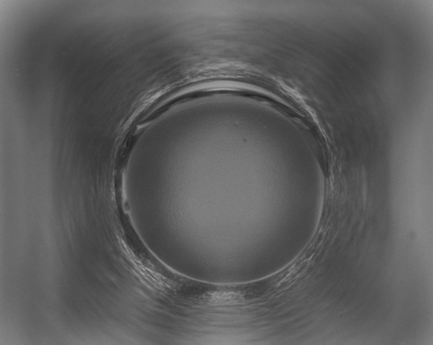 X0000057040154200509120829