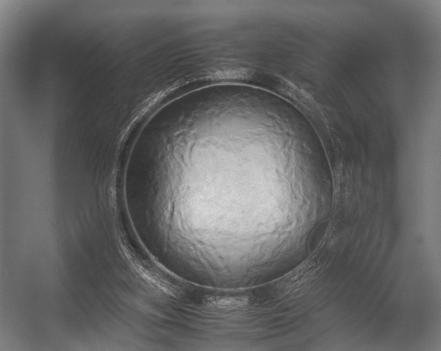 X0000057040155200509120829
