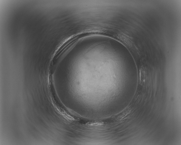 X0000057040156200509120829