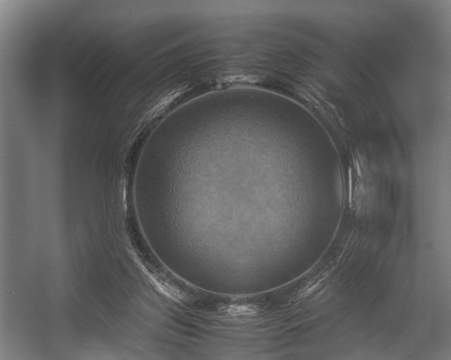 X0000057040157200509120829