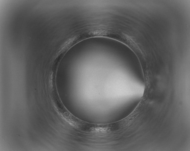 X0000057040163200509120829