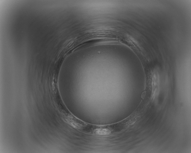X0000057040169200509120829