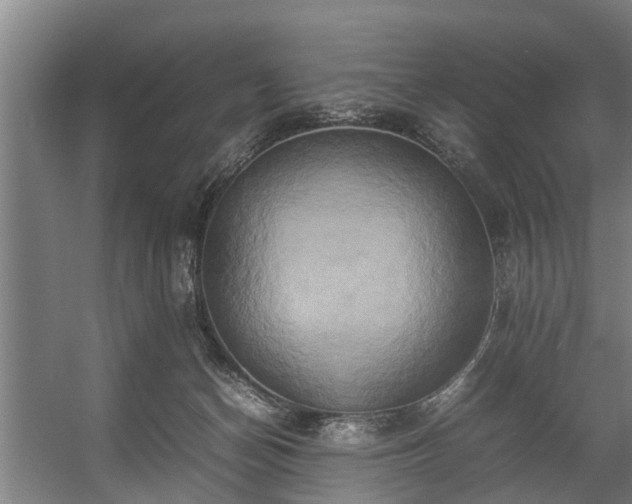 X0000057040174200509120829