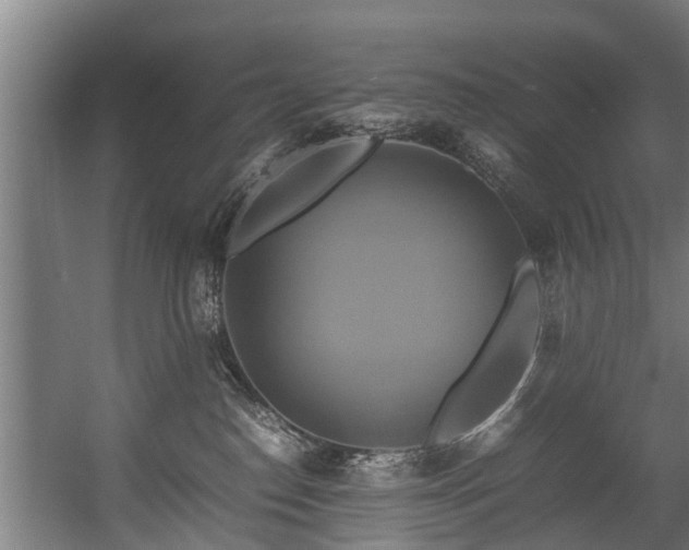 X0000057040186200509120830