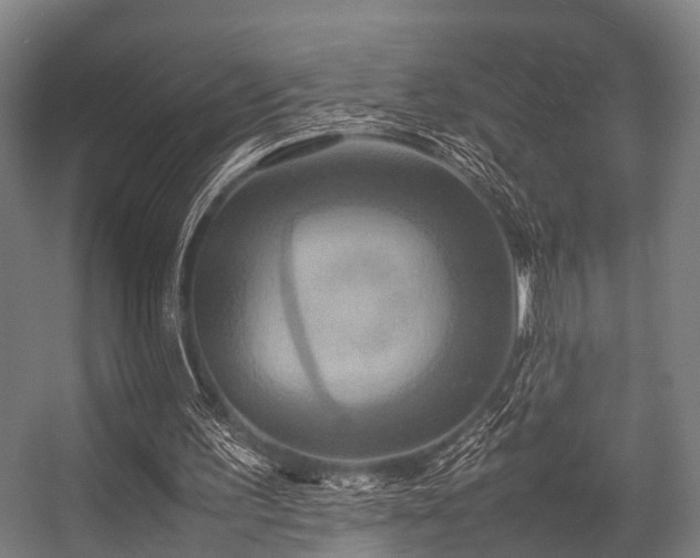 X0000057040195200509120829