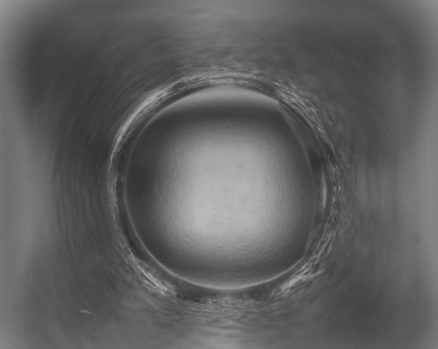 X0000057040197200509120829