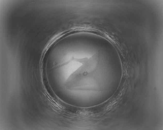 X0000057040199200509120829