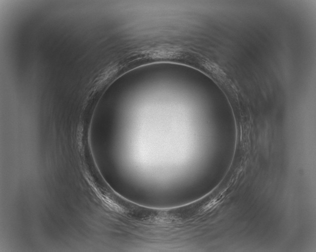 X0000057040201200509120829