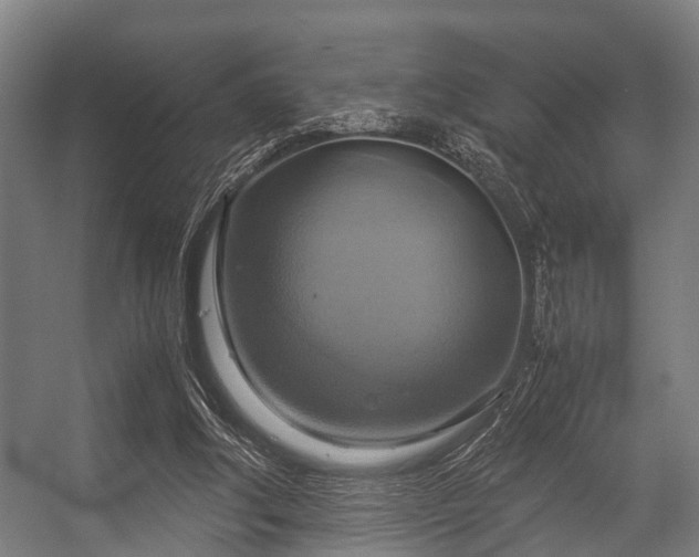 X0000057040202200509120829