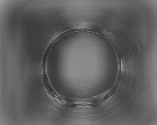X0000057040204200509120829