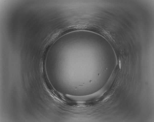 X0000057040205200509120829