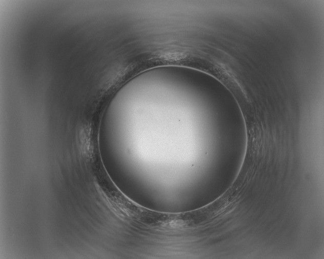 X0000057040212200509120829
