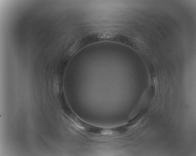 X0000057040227200509120828