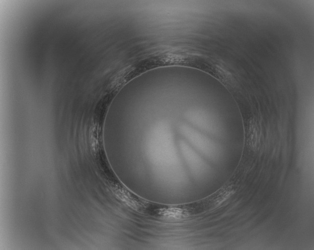 X0000057040230200509120828