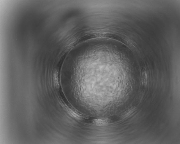 X0000057040238200509120828