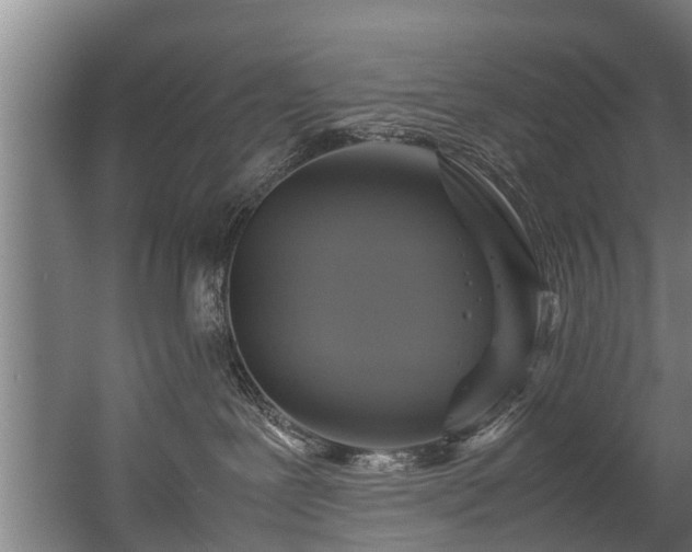 X0000057040239200509120828