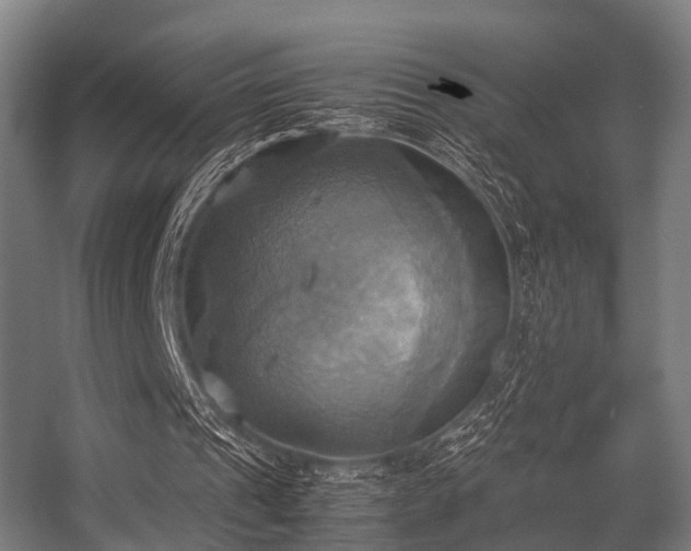 X0000057040241200509120827