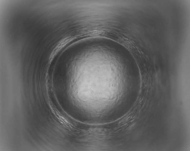 X0000057040242200509120827