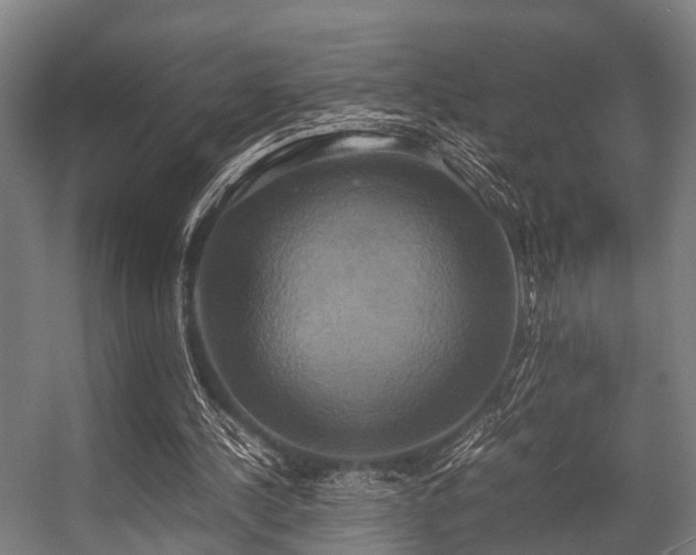 X0000057040244200509120827