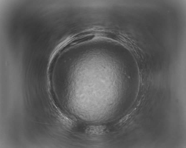 X0000057040245200509120827