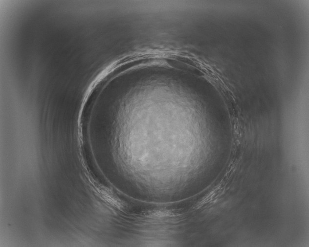 X0000057040246200509120827