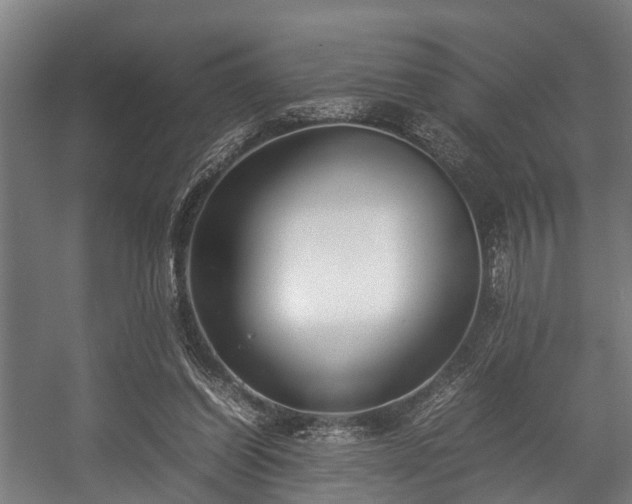 X0000057040254200509120827