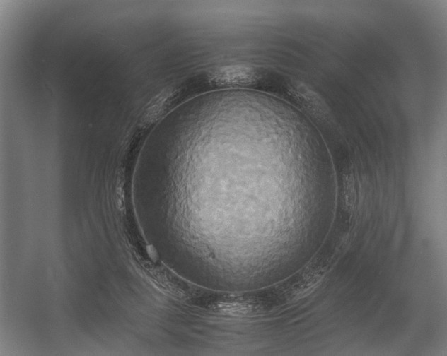 X0000057040259200509120828
