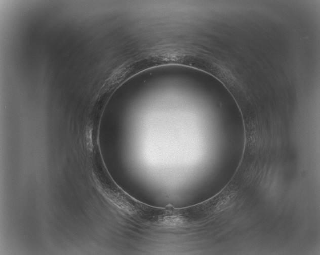X0000057040262200509120828