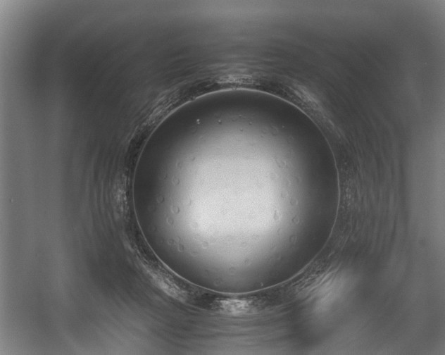 X0000057040265200509120828