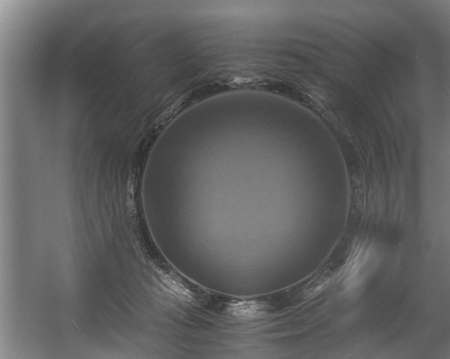 X0000057040269200509120828