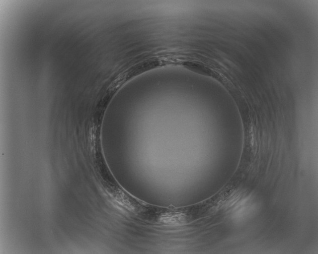 X0000057040271200509120828