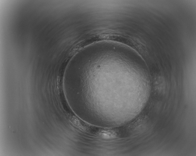 X0000057040275200509120828