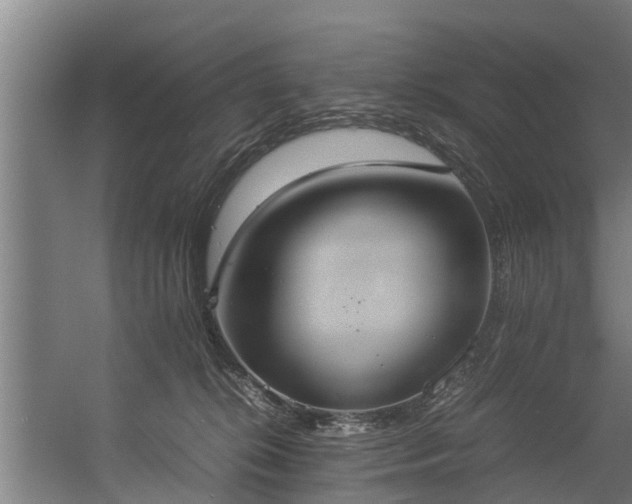X0000057040276200509120828