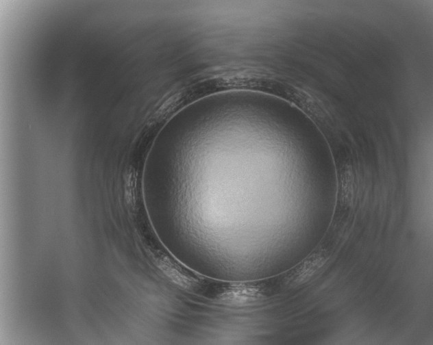 X0000057040278200509120828