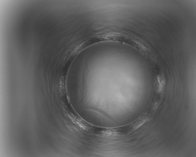 X0000057040284200509120828