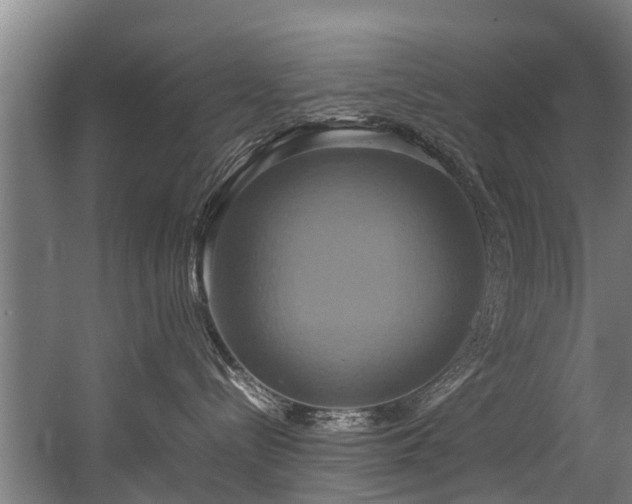 X0000057040288200509120828