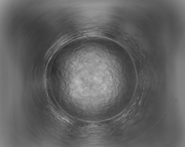 X0000057040290200509120827
