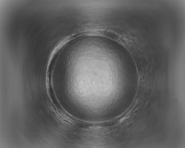 X0000057040294200509120827