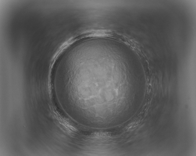 X0000057040296200509120827