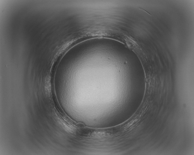 X0000057040298200509120827