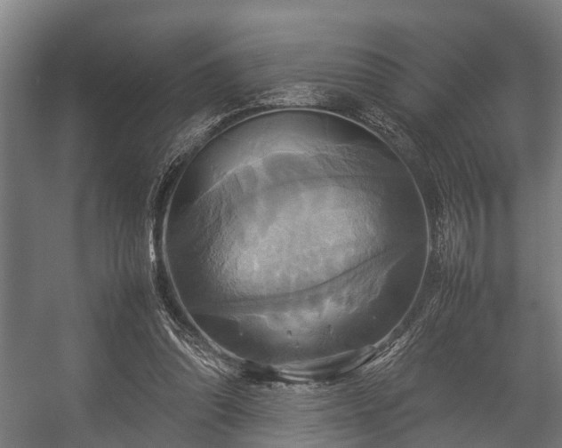 X0000057040302200509120827