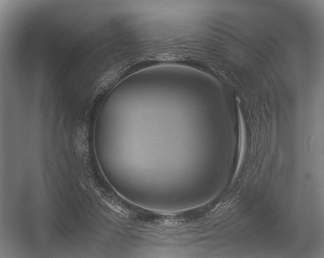 X0000057040303200509120827