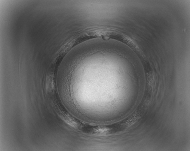 X0000057040313200509120827