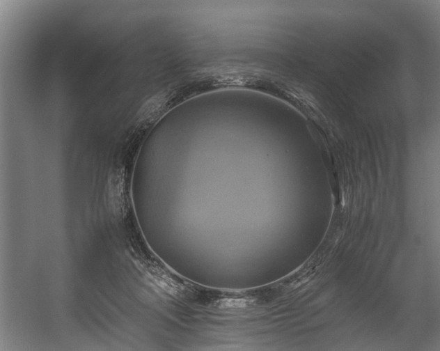 X0000057040314200509120827